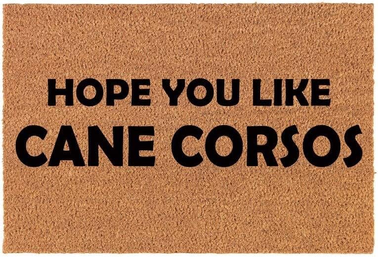 How're Ya Now - Alfombra antideslizante para entrada de interior y exterior, alfombra de puerta de piso de entrada se seca rápidamente, tapete de