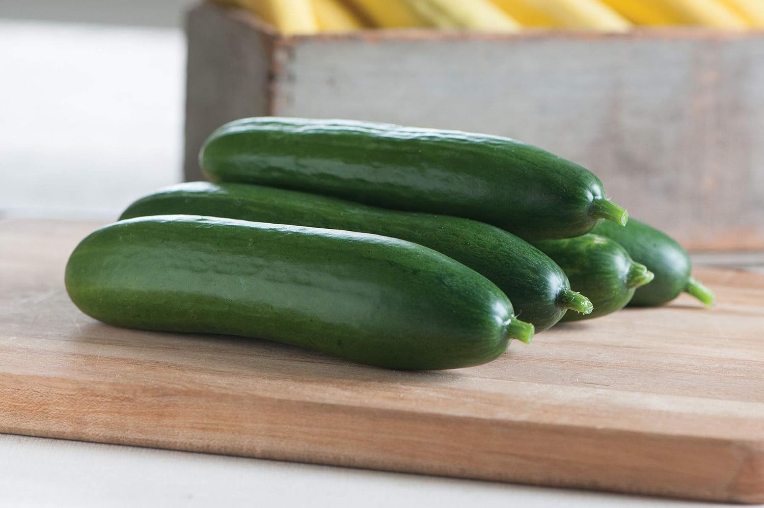 Cucumber Slicing Diva FBA-2196 (Green) 25 Non-GMO, Open Pollinated Seeds