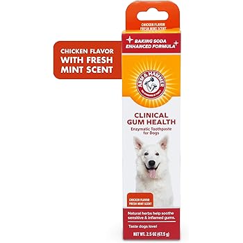 arm & hammer dog toothpaste