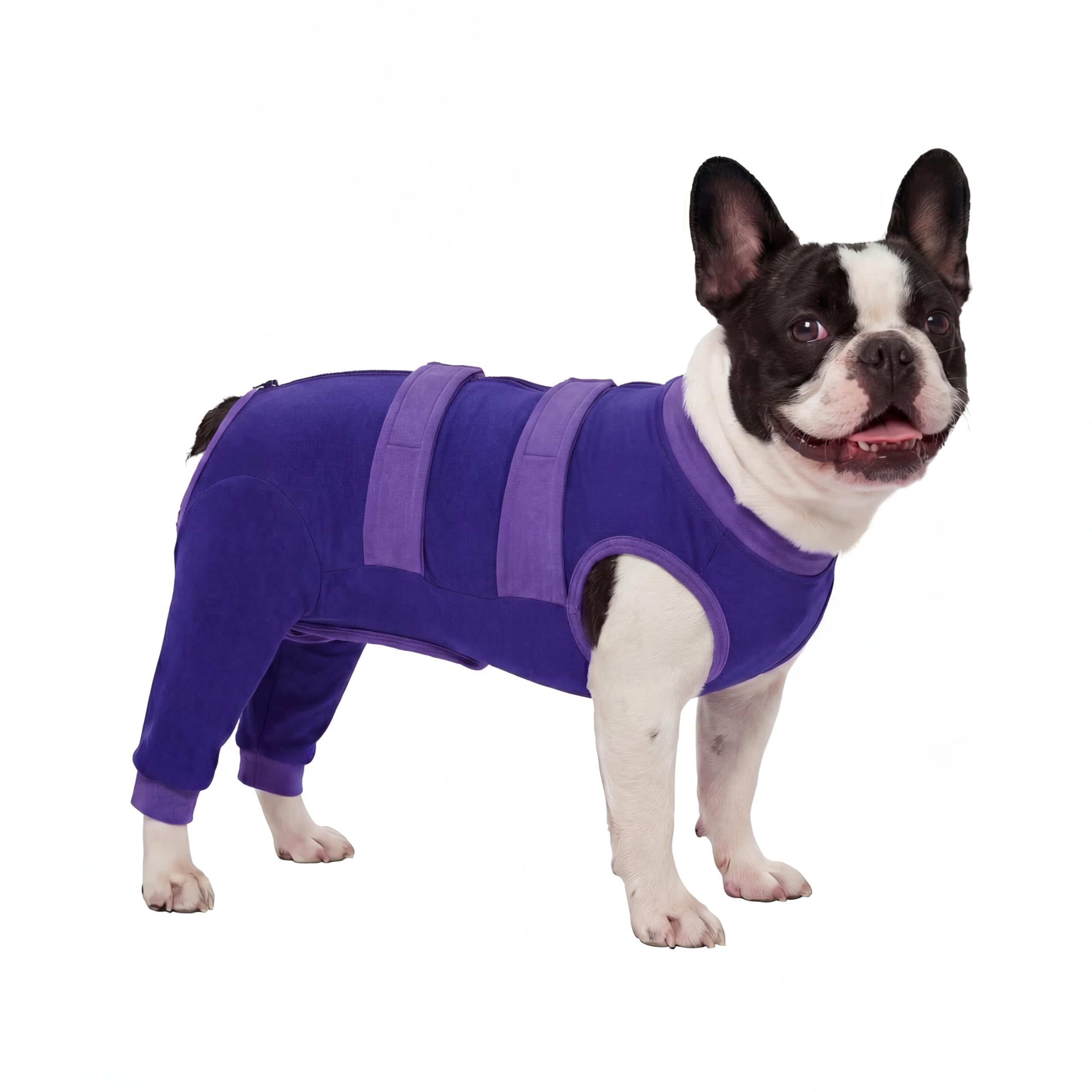 Lelepet Dog Surgical Suit, Post Op Wound Protector Pet Suits, Dog Recovery Sleeve Back Legs, Body Suit for Dogs After Surgery, E-Collar Alternative Pajamas for Male Female Dogs, Purple M