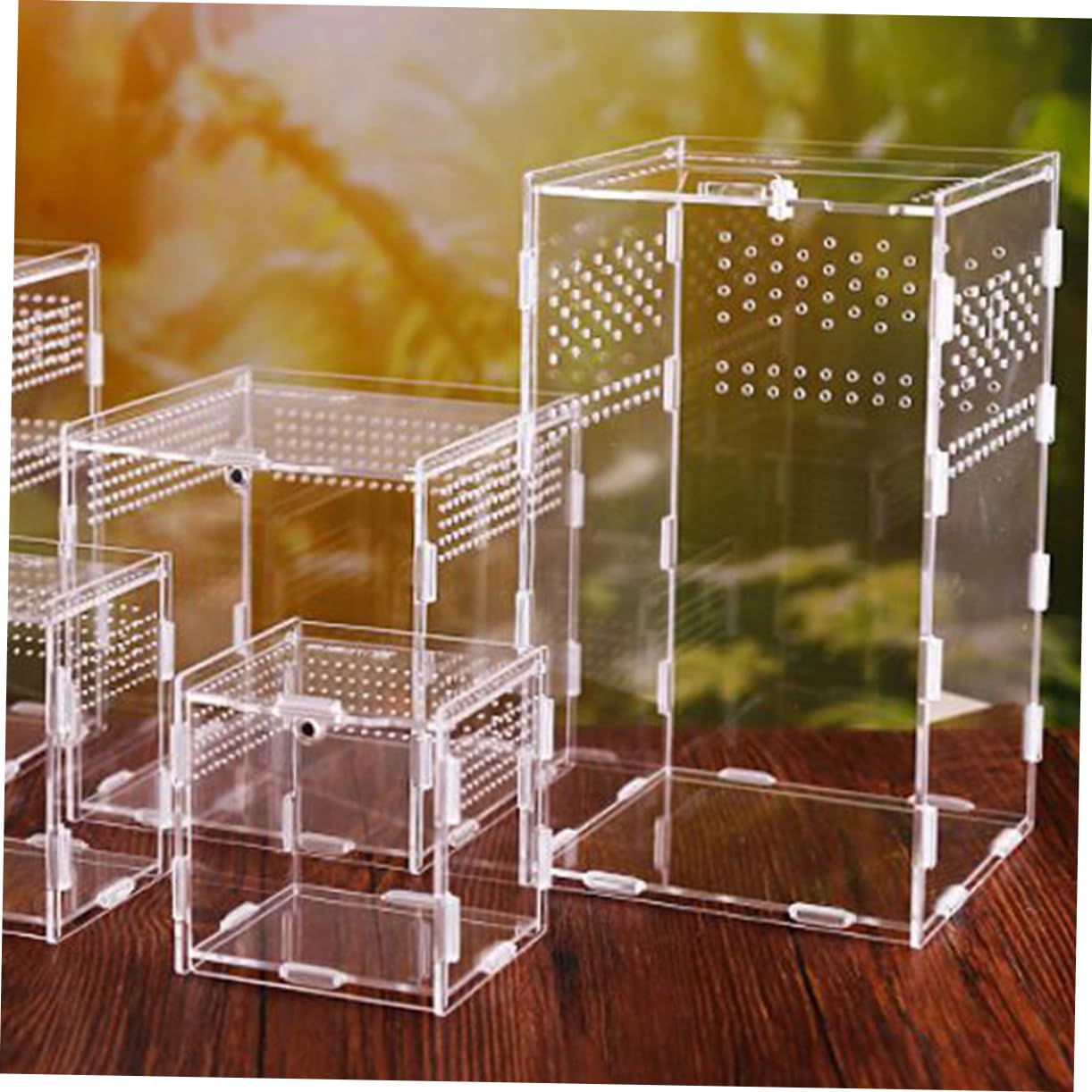 Toddmomy Contenedores Transparentes para Reptiles Cajas De Hábitat Estuches Magnéticos para Arañas y