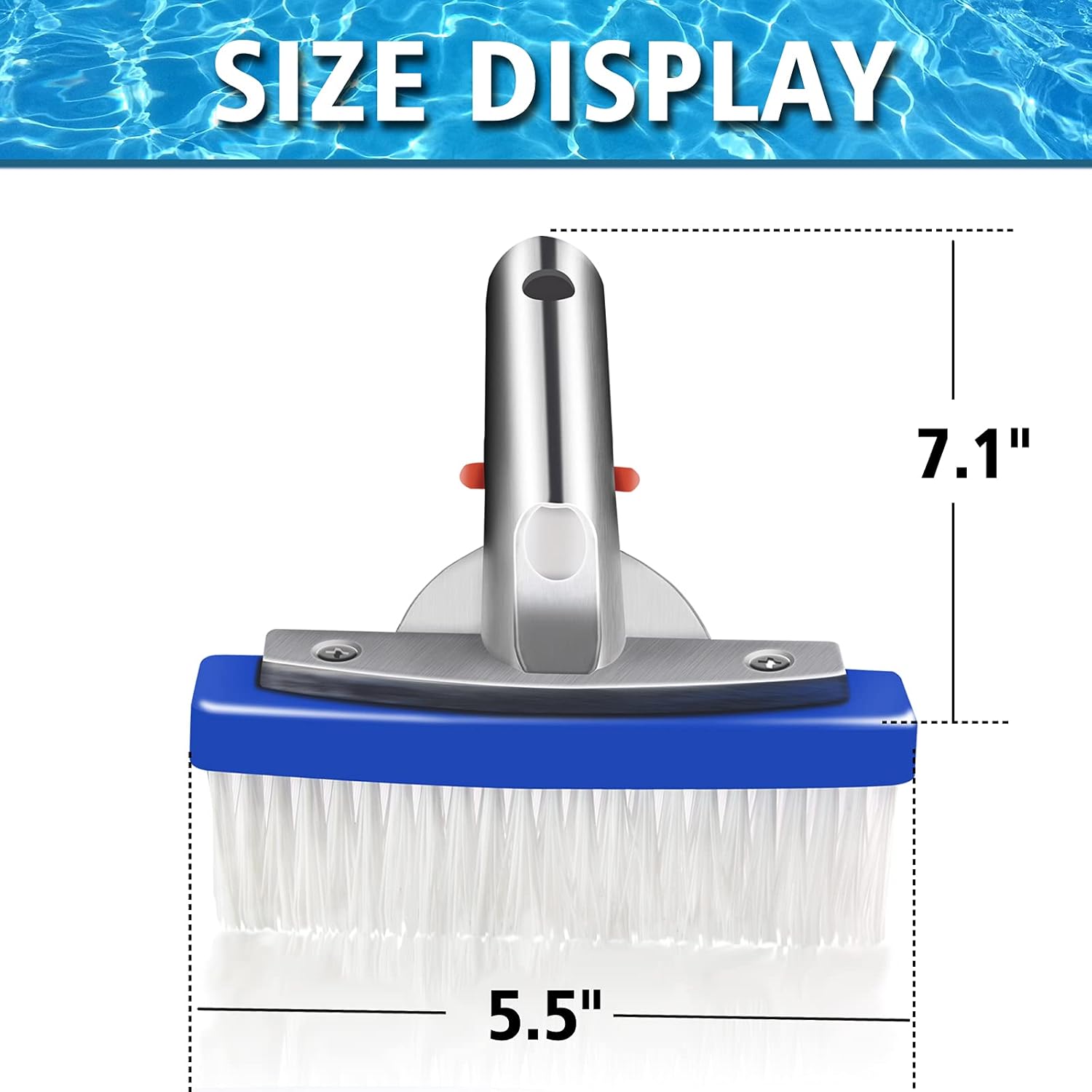 inifus 5.5" Heavy Duty Swimming Pool Brush,Pool Brush with Aluminum-Back & Nylon Bristles &EZ Clips,Scrub Brush Ideal for Cleaning Walls, Tiles & Floors : Patio, Lawn & Garden