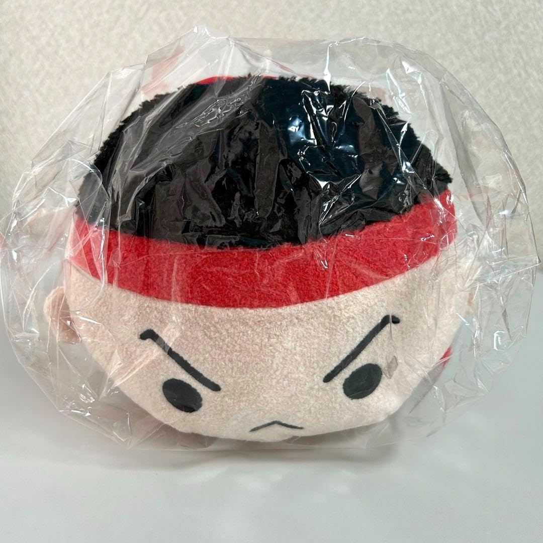 ストリートファイター カプころん BIGぬいぐるみ リュウ E カプころん 通販