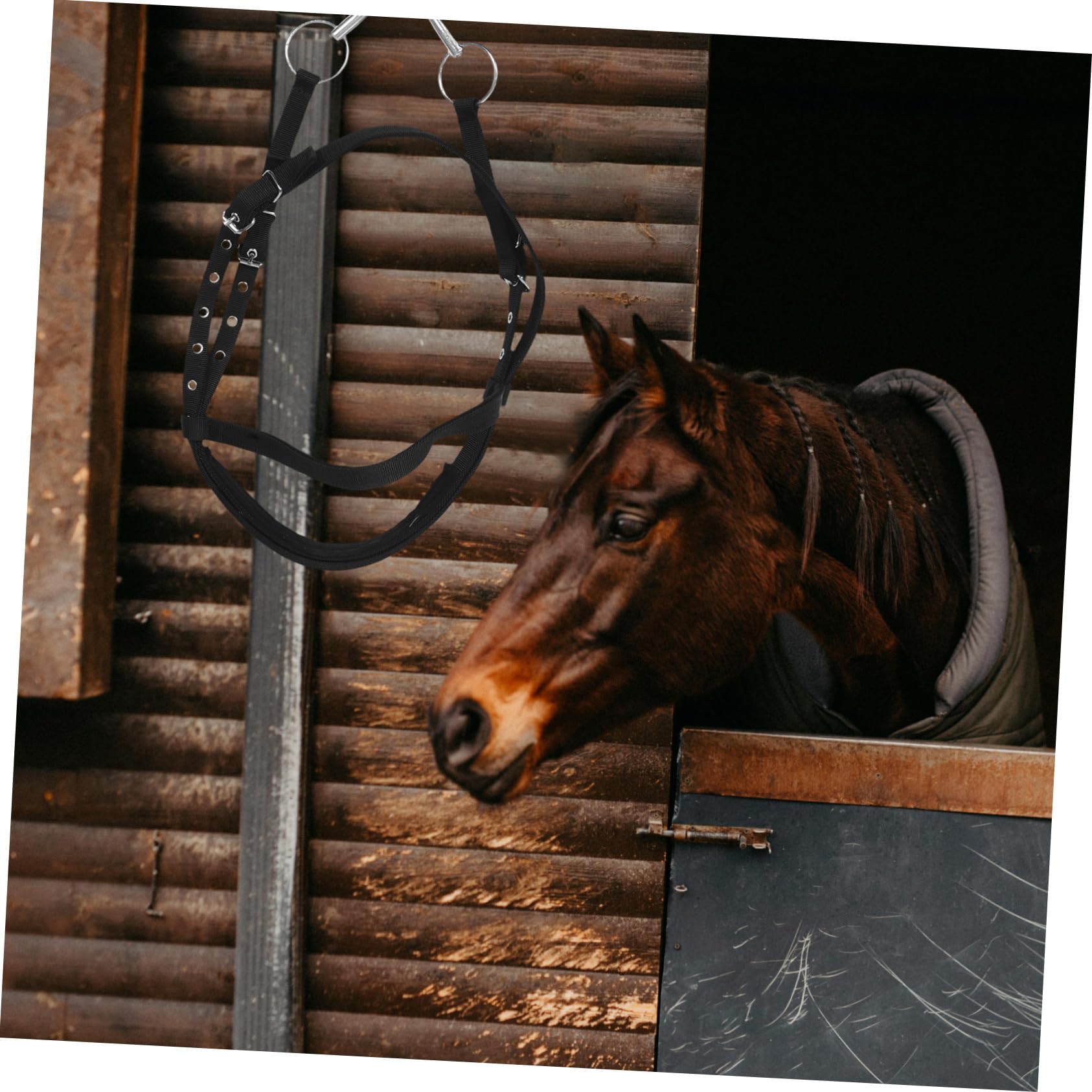 TOYANDONA Redini Equestri Cavezze in Corda per Cavezze in Corda per Cavezze per Cavezze in Corda per Accessori per Scuderie Briglie Inglesi per