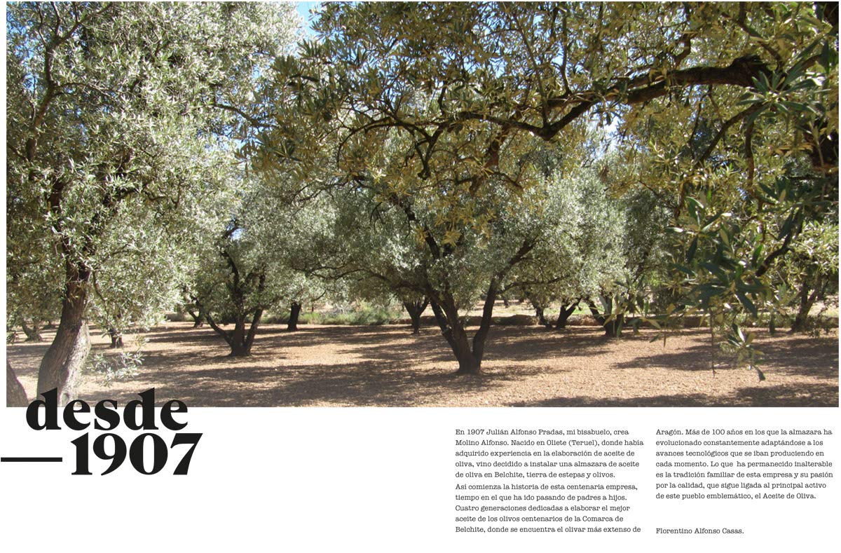 Aceite Oliva Virgen Extra Arbequina (Pet 5 litros) - Molino Alfonso