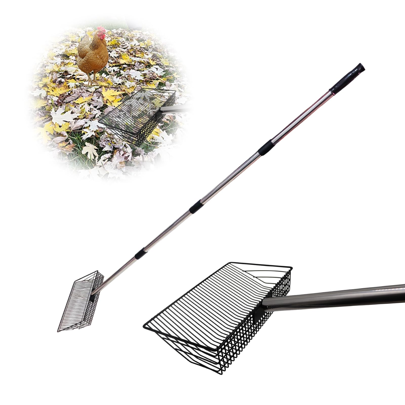 Poop Scooper - Stainless Steel Chicken Coop Scoop with Adjustable & Detachable 1.5 m Long Handle (25 cm Wide)