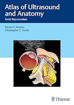 健康・医学 Atlas of Microsurgery of the Lateral S.. 健康・医学 Atlas of Microsurgery of the Lateral S.. The