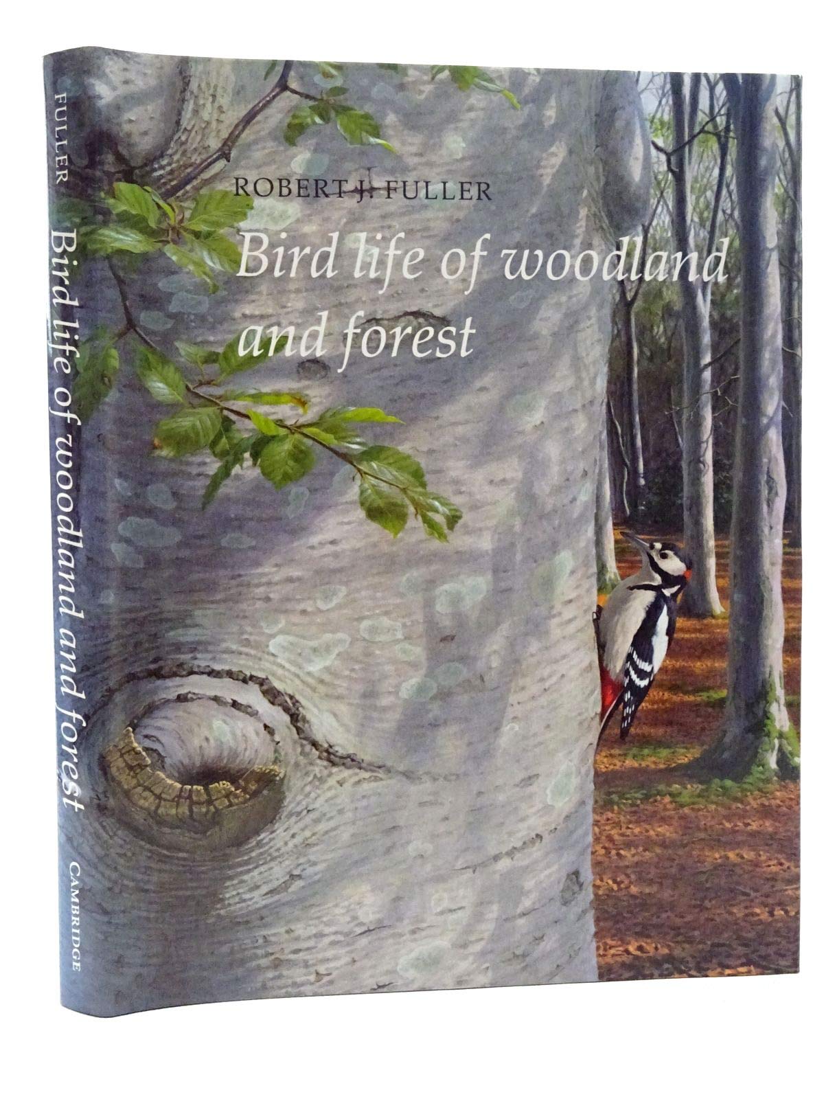 Bird Life of Woodland and Forest