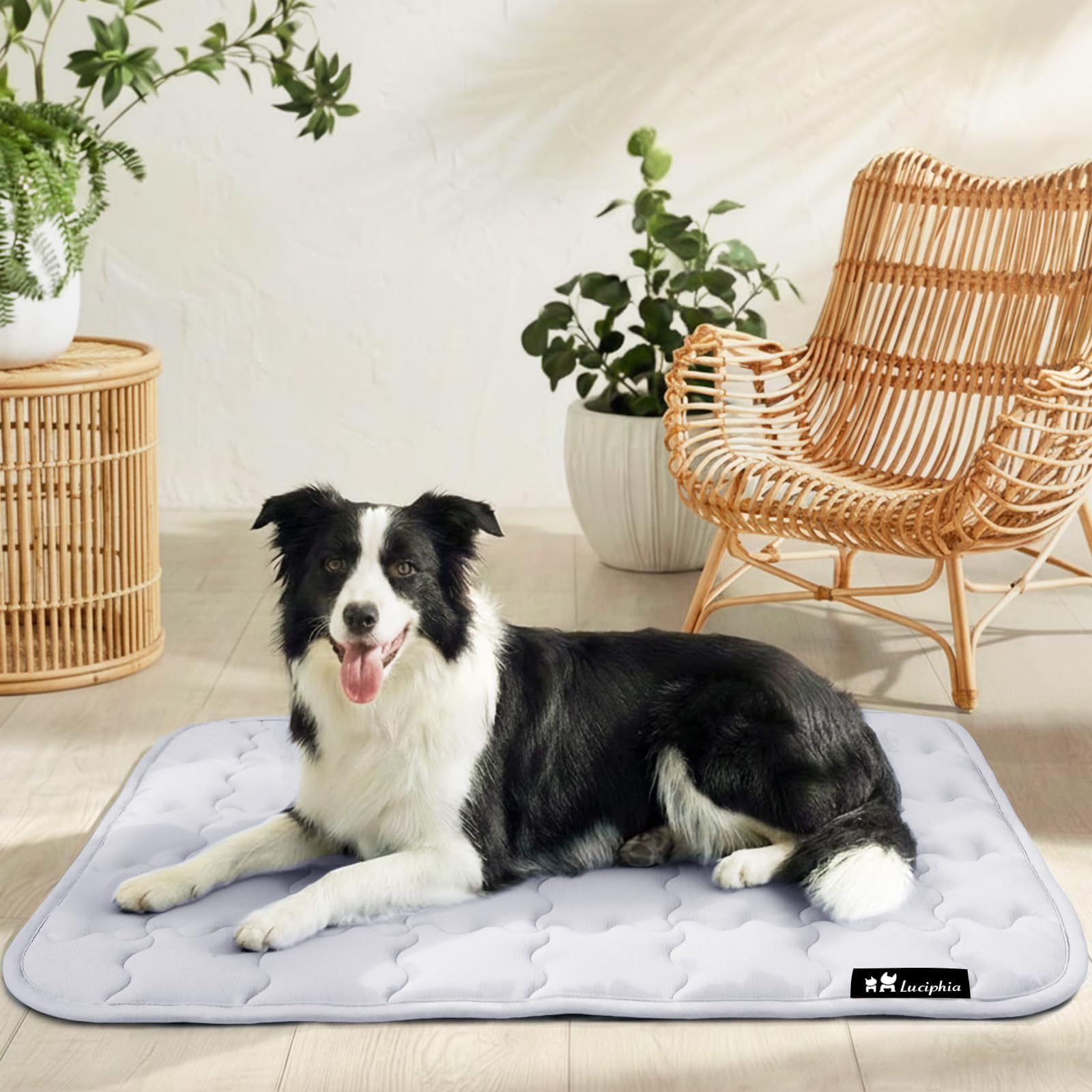 luciphia Cooling Mat for Dogs and Cats, Mat for Dogs, Cooling Cushion for Summer, Washable Bed for Dogs, Cooling Blanket, Large, Medium and Small Dogs, Grey, 51 x 77 cm