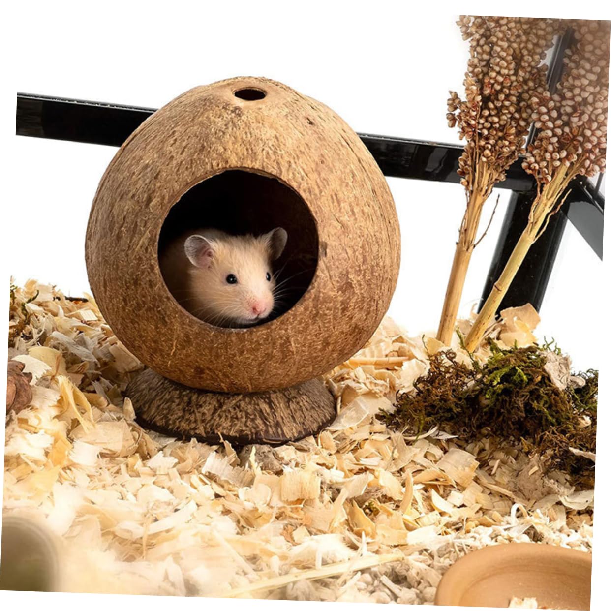 PRETYZOOM 4 Pièces Jouet Nid De Hamster Cachette De Hamsters Un Hamster Frappe Une Maison Cachette De Rat à La Maison Accessoires De Jouets De Cachette De Cobaye Coquille De
