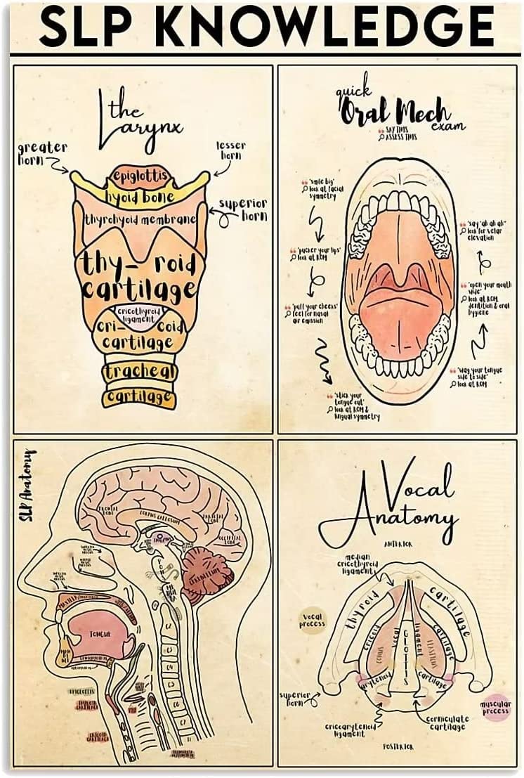 FJQWKLF Anatomy Of Oral Metal Tin Signs Vintage Slp Knowledge Infographic Quick Guide Posters Clinic Hospital Living RoomOffice Home Wall Decor 12x16 inch