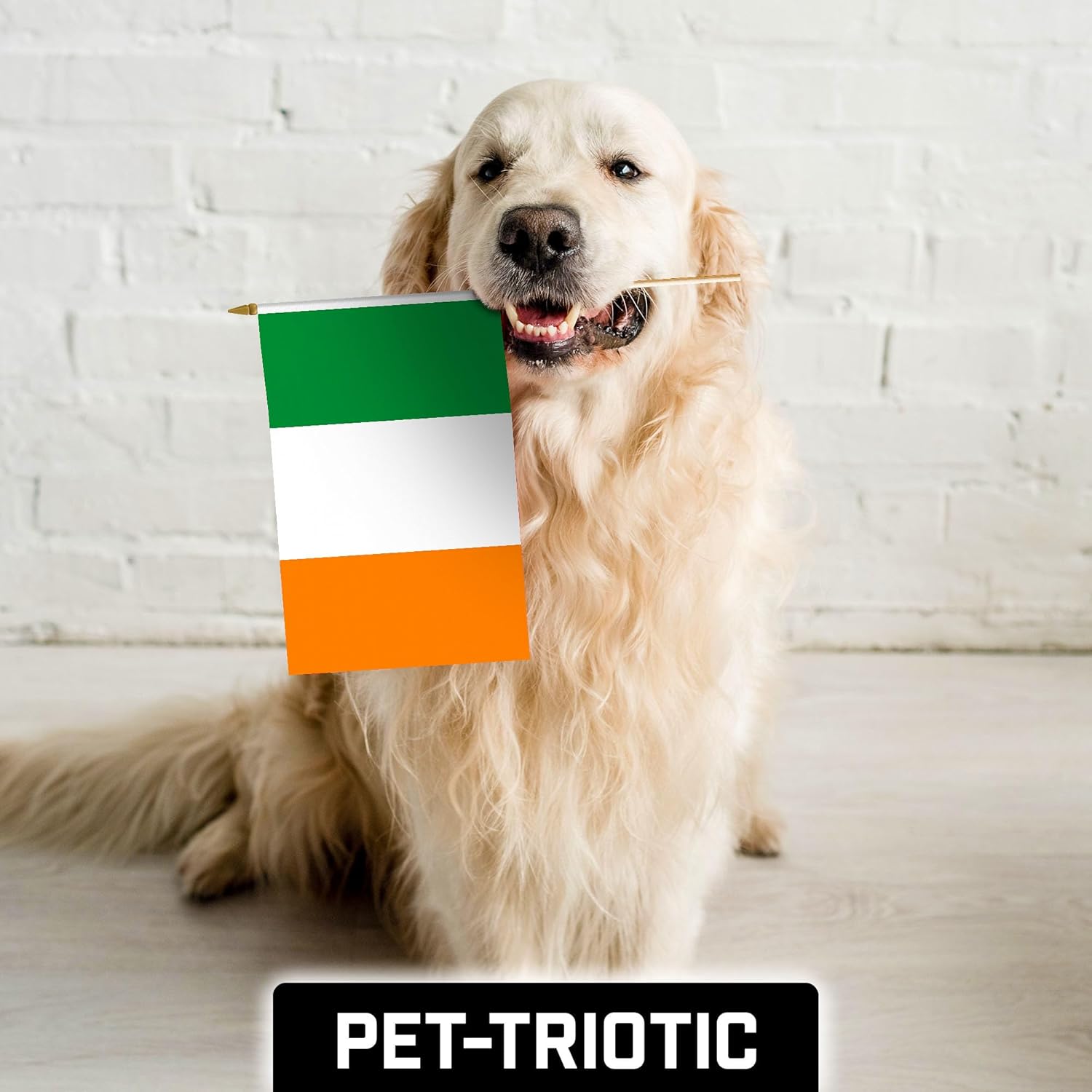 G128 12 Pack Handheld Ireland Irish Stick Flags | 12x18 In | Printed 150D Polyester, Country Flag, Solid Wooden Stick, Spear Gold Tip