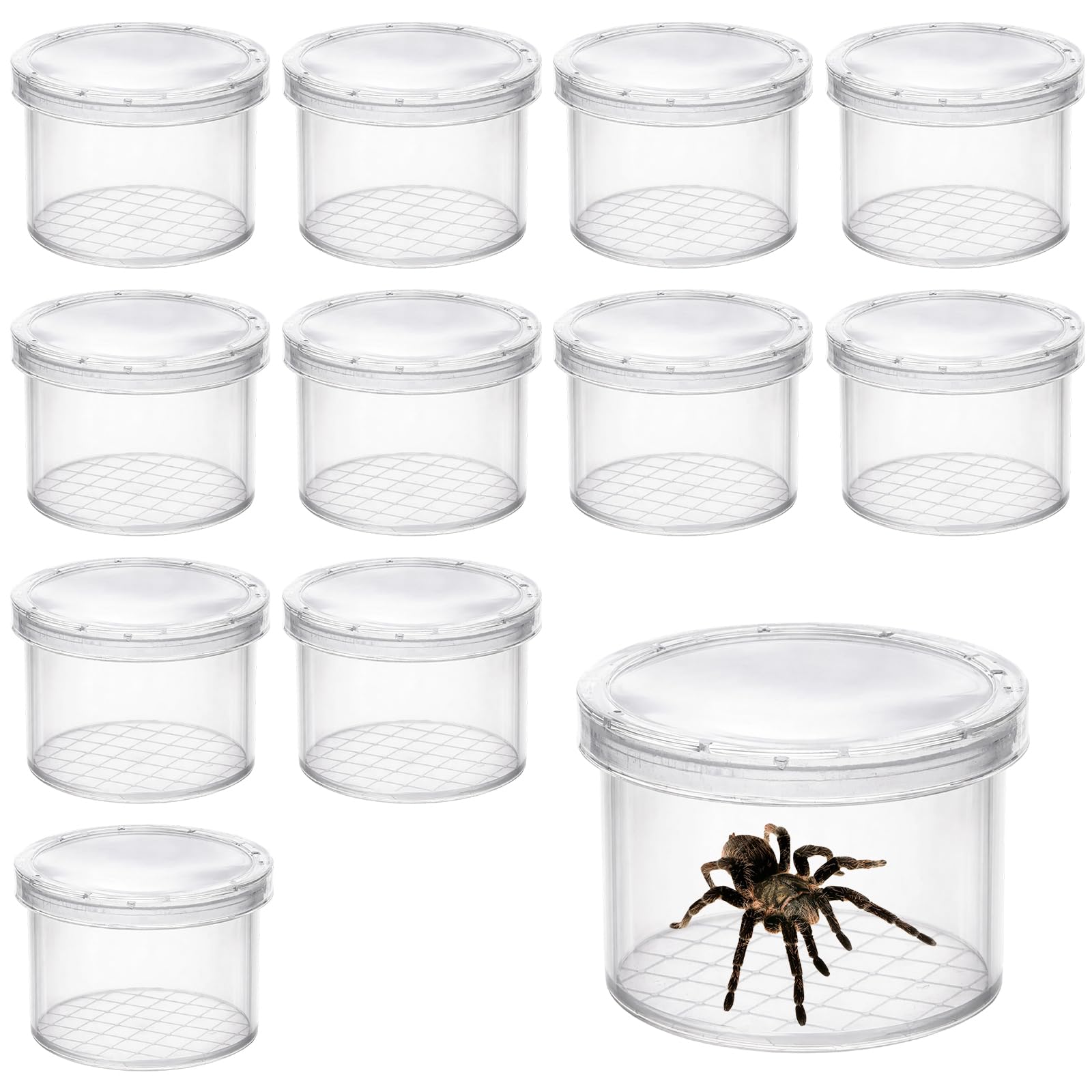12 Pcs Bug Catcher, Insect Observation Bug Box Set, Magnifying Glass Containers for Nature Study, Ideal for Outdoor Exploration and Science Activities, Compact 40 x 40 x 30 mm Design