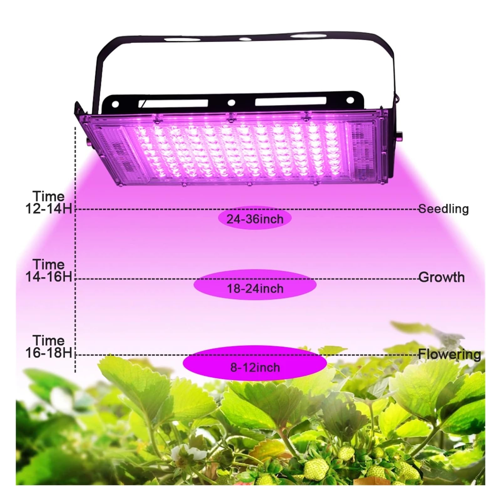 Lámpara de Cultivo, Luz LED de Cultivo 50W 100W 150W AC Phyto lámpara de Espectro Completo Reflector LED Plantas de Interior iluminación de Crecimiento de Invernadero hidropónico(100W)