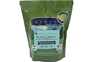 'Blue Envy' Kentucky Bluegrass Blend: A Lush, Resilient Lawn Solution