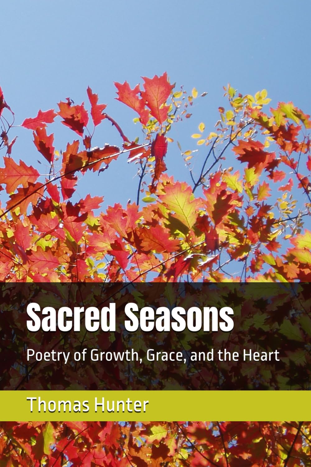 Sacred Seasons: Poetry of Growth, Grace, and the Heart