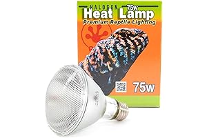 Pangea Reptile Halogen Heat Lamp