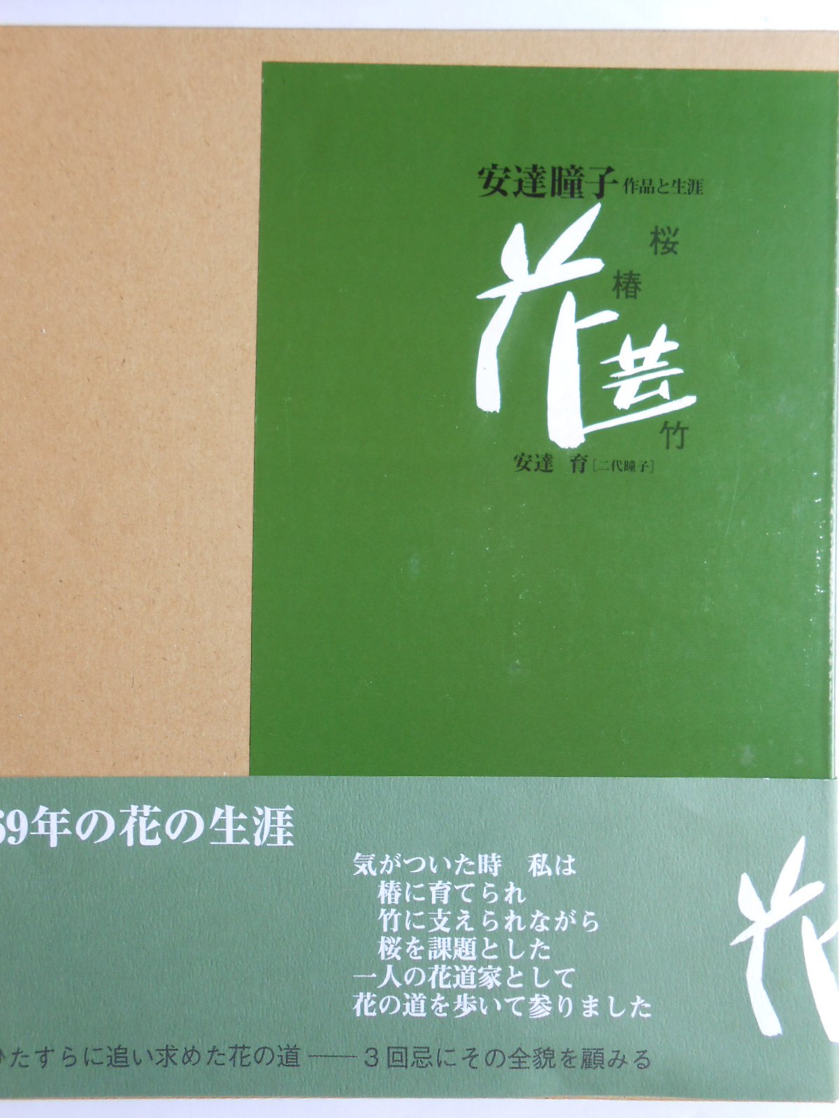道 桜仙抄 安達瞳子 作品集 生け花 Amazon.co.jp: 安達瞳子 作品と生涯 : 本