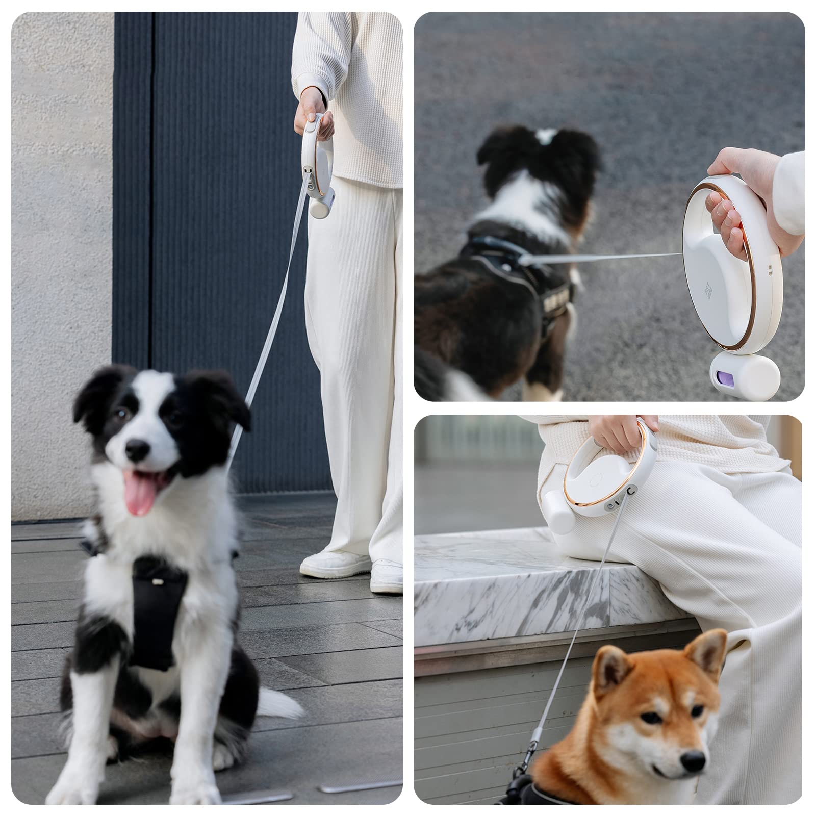 Galatée Laisse pour Chien Rétractable, Laisse Extensible De 3 m avec Lampe De Poche LED, Laisse pour Chien sans Enchevêtrement à 360° avec Distributeur De Sacs Poubelle(Blanc)