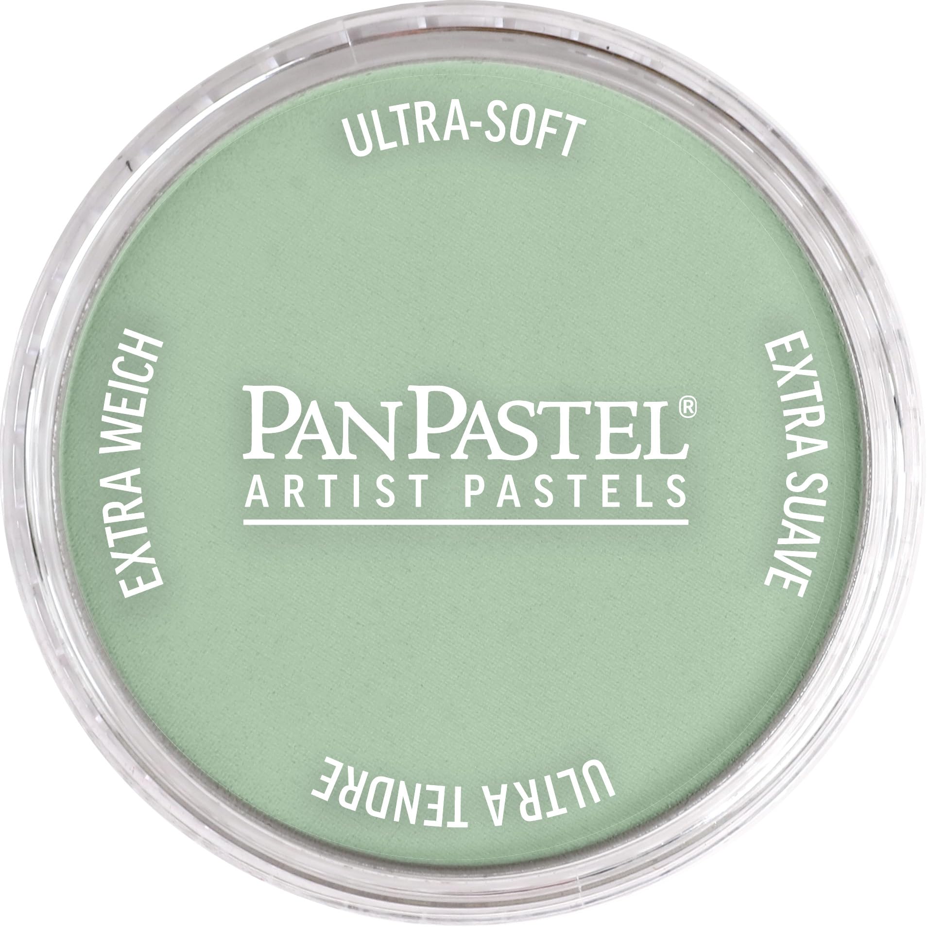 Pan Pastel Artists 6608 - Colore verde ossido di cromo pastello