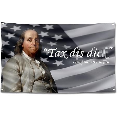 Amazon.com : 3x5 FT Banner with 4 Brass Grommets - This Flag Did Not