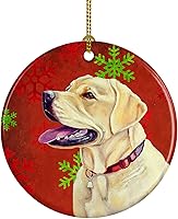 Vista 28 de Caroline's Treasures Dachshund copos de nieve rojos y verdes, adorno de cerámica de Navidad para colgar en el árbol de Navidad, decoración