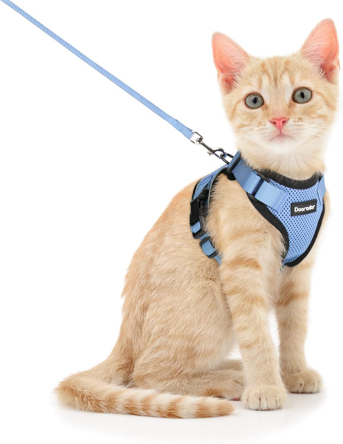 Harnais chat anti-fugue réglable veste en maille respirante bleu clair XS