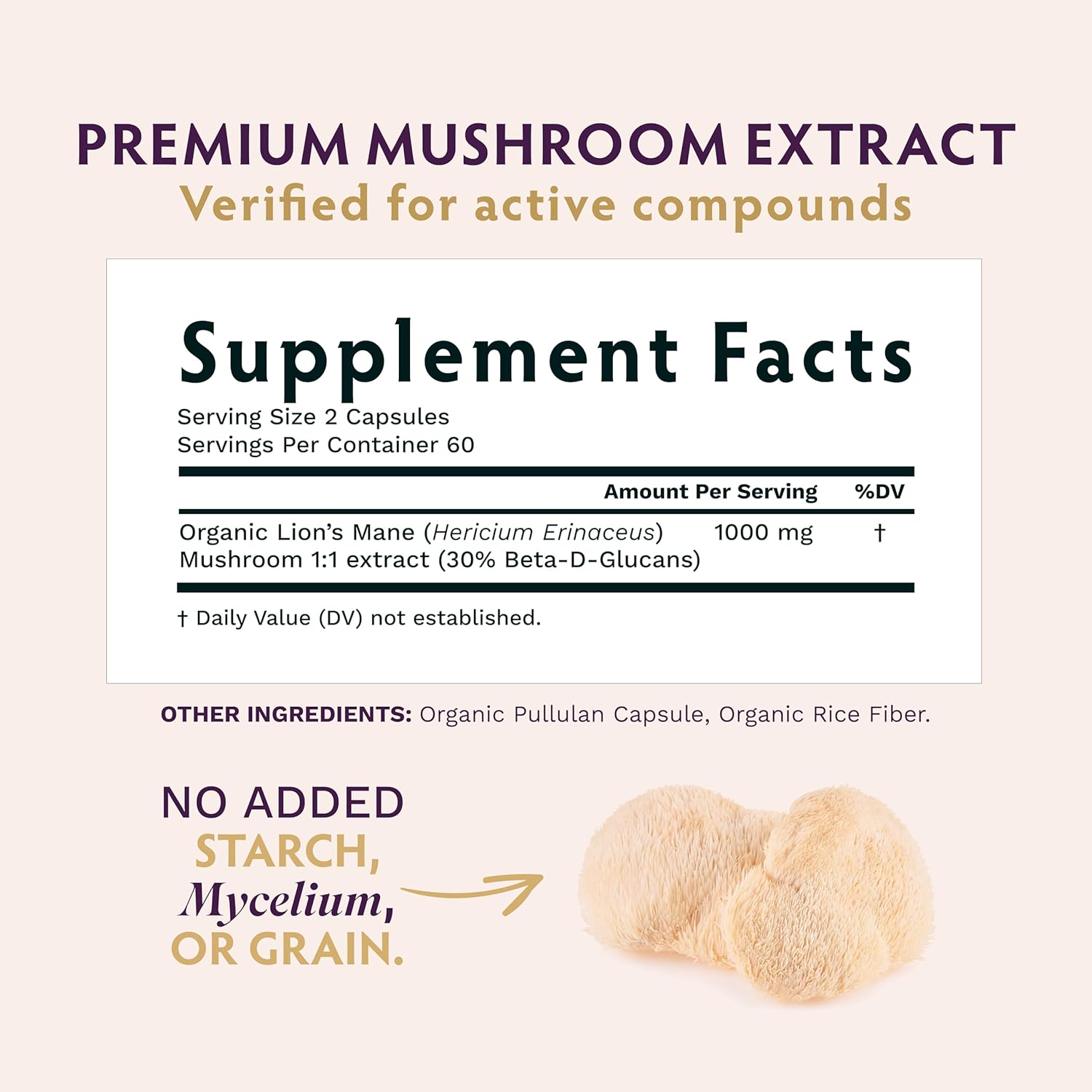 TRIBE ORGANICS NOOTROPIC Duo - KSM66 Ashwagandha + Organic Lion's Mane - Beyond Focus, Mind Awareness and Mind Health