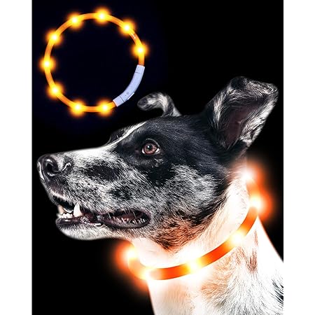 Amazon Qbit Led 犬光る首輪 視認距離400mで夜間も安心 犬 猫 光る 首輪 ライト 夜 散歩usb 充電式 小型犬 中型犬 大型犬 サイズ調節可能 オレンジ Qbit ベーシック首輪 通販