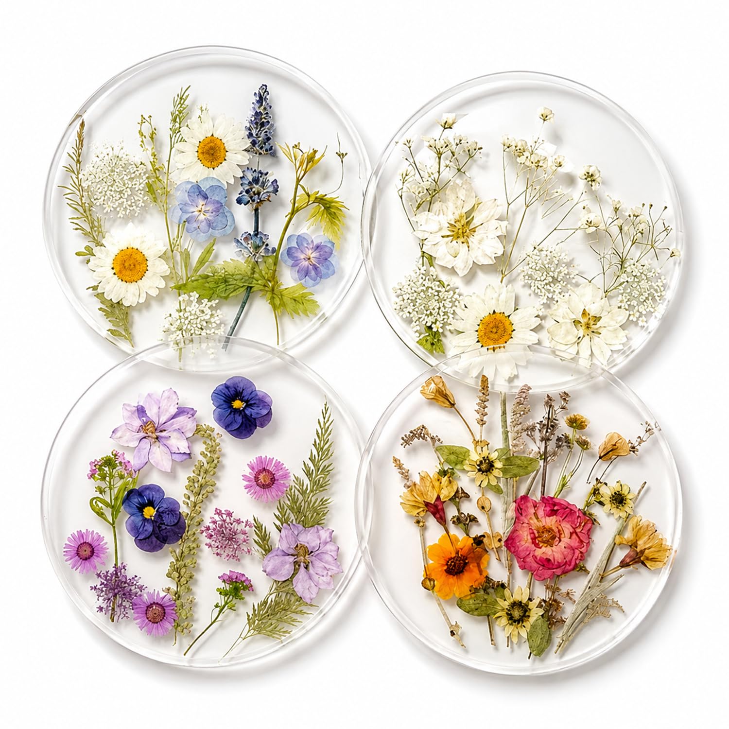 Dried Flower Coasters Set of 4, Acrylic Transparent Floral Drink Coasters, 10 cm Outdoor Coaster for Garden Tables, Cup Coaster for Wooden Desks Coffee Table Kitchen Bar Mugs