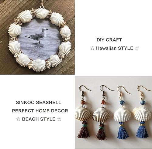 Miniatura 6 de Surtido de conchas pequeñas de concha marina blanca natural a granel para decoración de playa de bricolaje