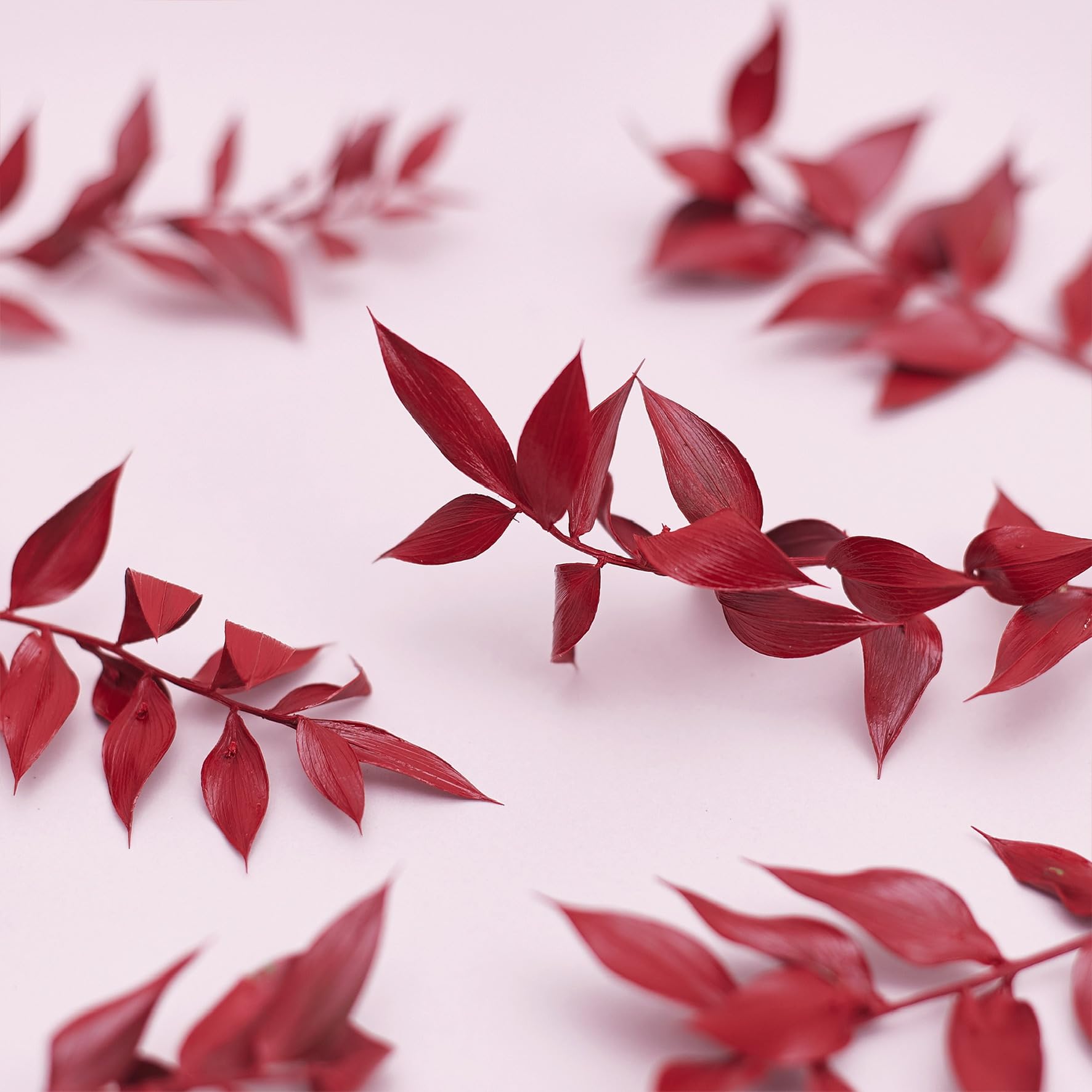 The Baked Studio - Original Dried Flower Ruscus Set For Cake & Cupcake Decorating & Others Crafts (Red), 1 Box - Image 3