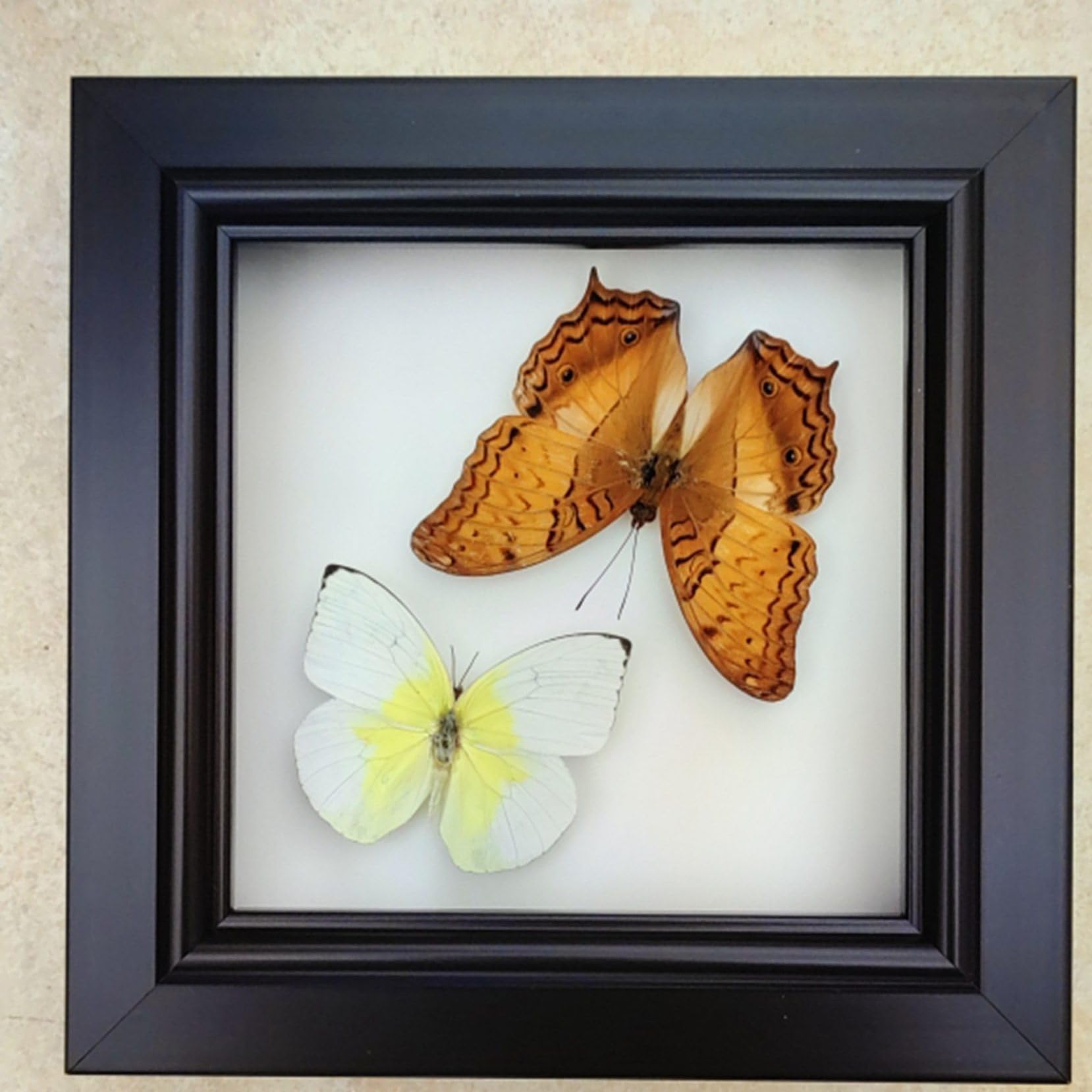 Amazon.co.jp: フォトフレーム 額縁 正方形 壁掛け 立体額 ボックス