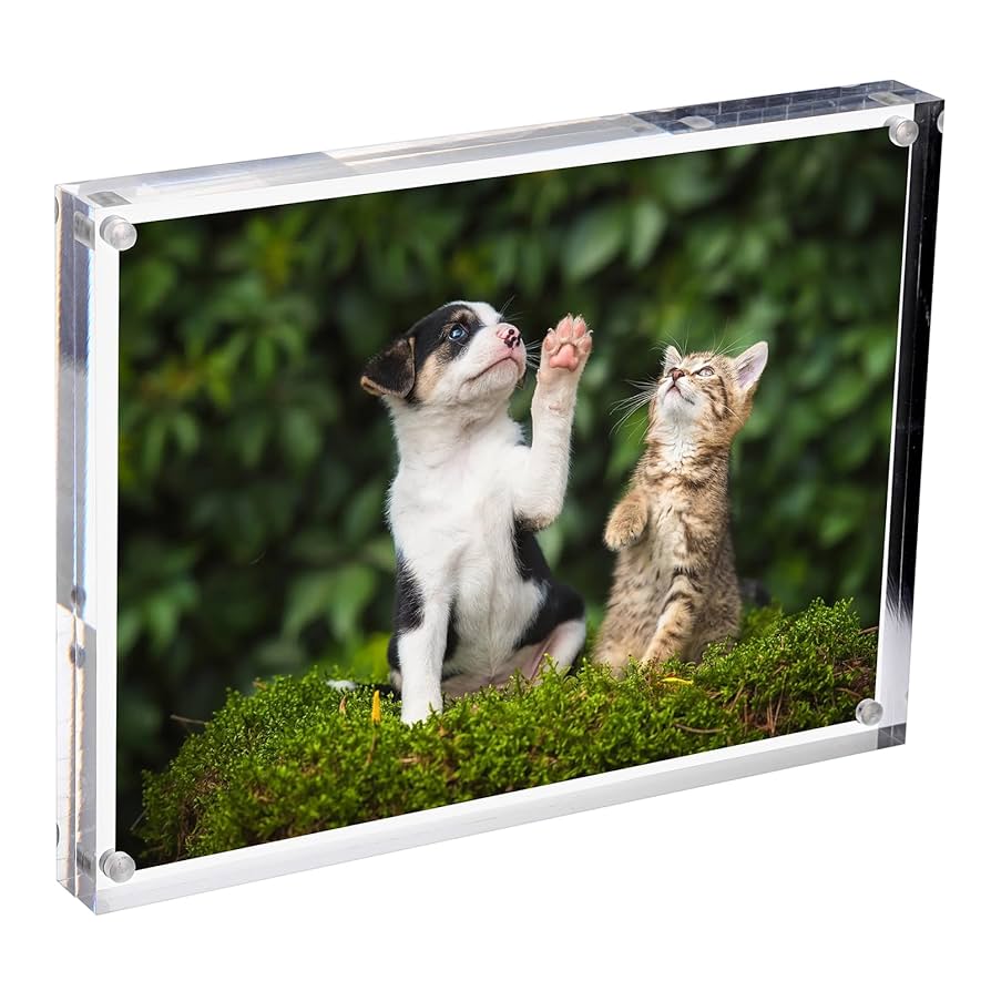 【チップ&デール】アリオ川口オープニング記念　フォトフレーム　箱あり　希少 APJ】アートボックスフレーム＜オーク＞の通販|フォト