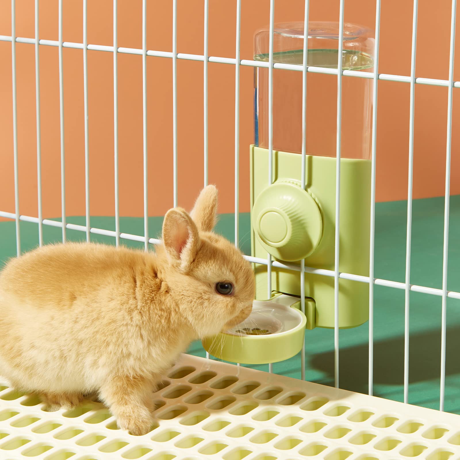Distributeur Eau Lapin, 600ML Suspendue Abreuvoir Lapin Automatique Biberon Cochon d'Inde Anti-Goutte Biberon Hamster pour Chinchilla Cochon d'Inde Hérisson Furet (Vert)