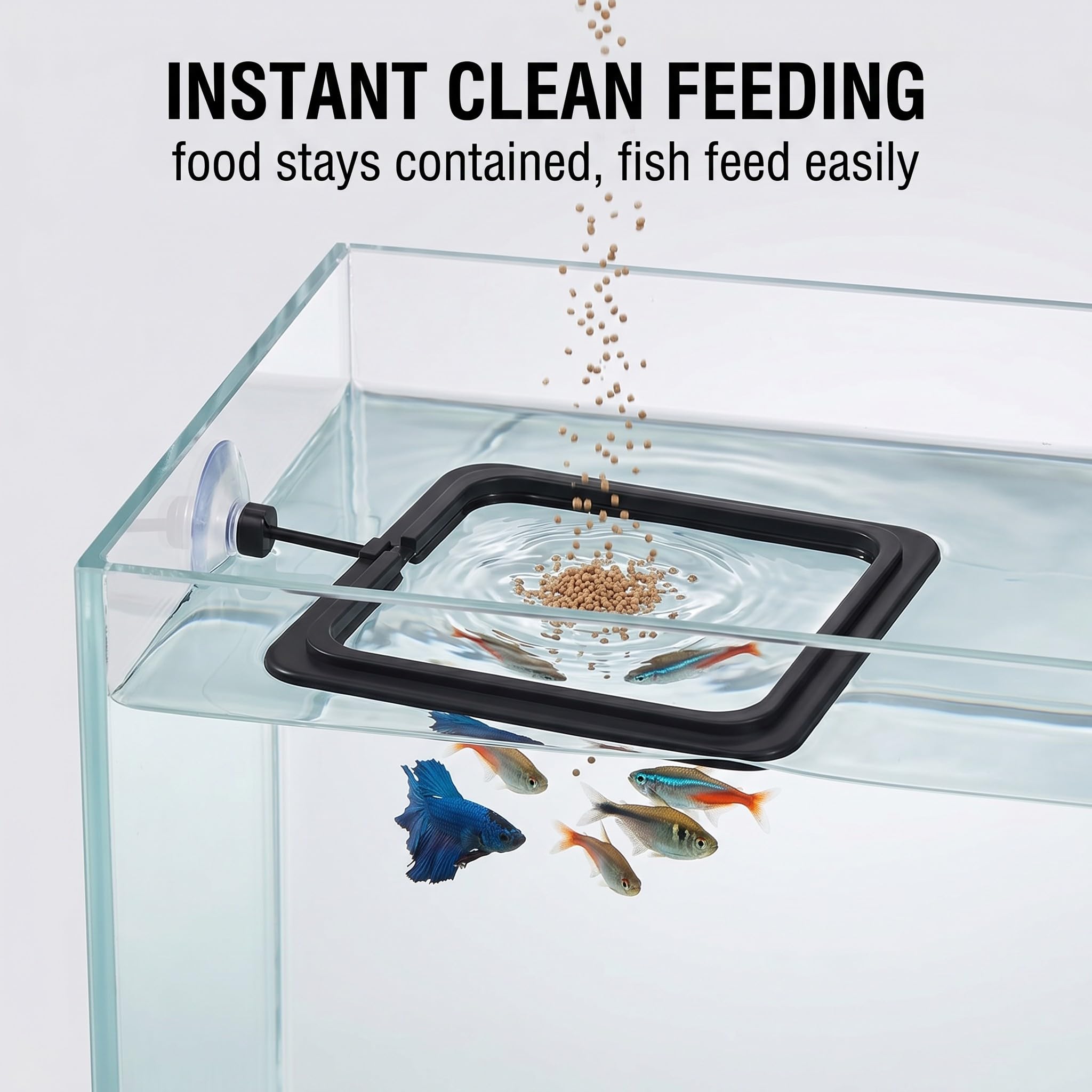 4 Pezzi Anelli di Mangime per Acquario, anello flottante tondo e quadrato per pesci, per betta, guppy e tartarughe, nero