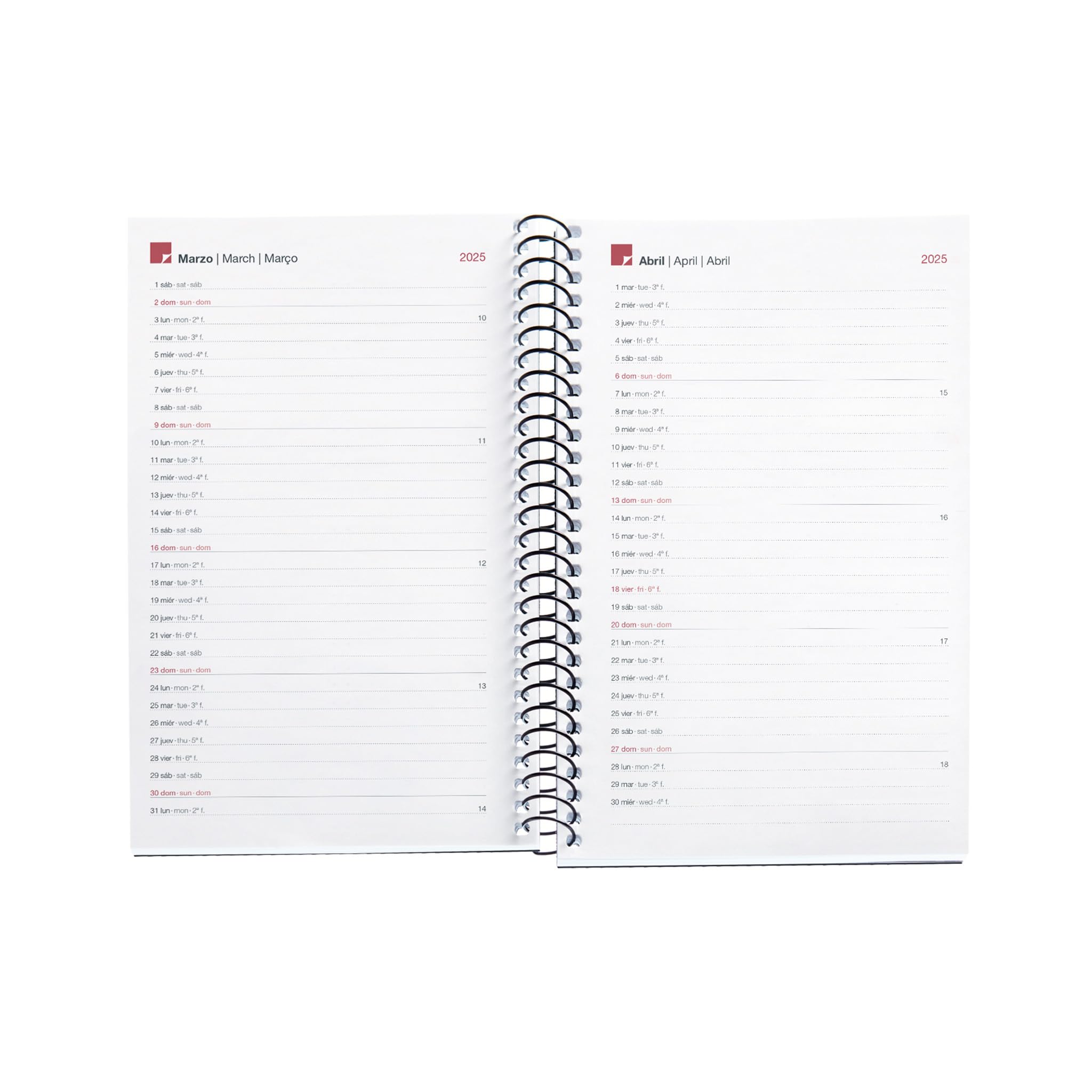 Miquelrius, 2025 Diary, Yearly Diary 117 x 182 mm, Day Page Agenda, Flexible Polypropylene Cover, Spiral, Paper 80 g/m² - Image 3