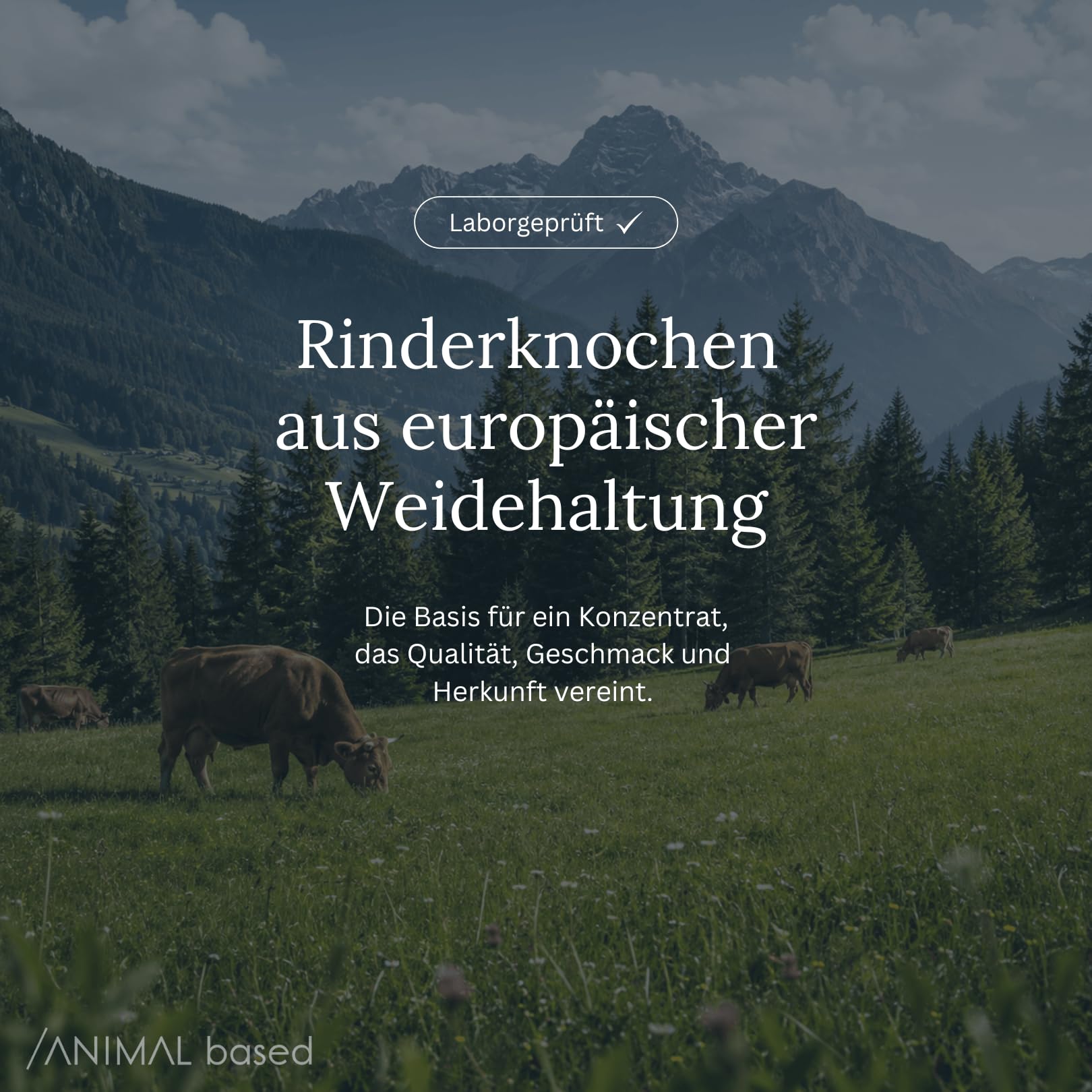 Animal Based Knochenbrühe Konzentrat vom Weiderind – Beef Bone Broth Paste im Glas, Rinderbrühe und Rinderfond für Trinkbrühe, Suppen und Saucen, mit Kollagen, ohne Zusatzstoffe, 220g, 22 Portionen