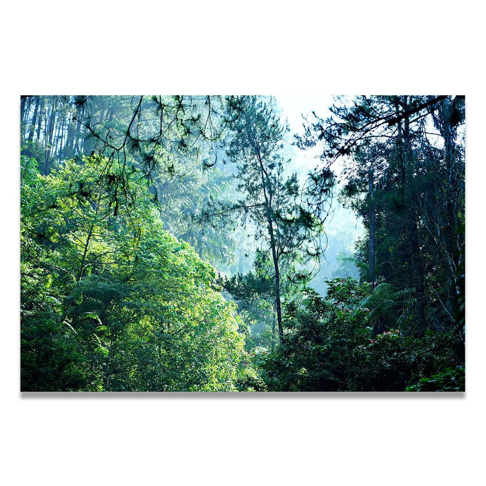VHdfgTY Deep In The WoodsLarge Mountain Landscape Canvas Wall Art Nature Scenery for Home Decor 40x60cm Unframed