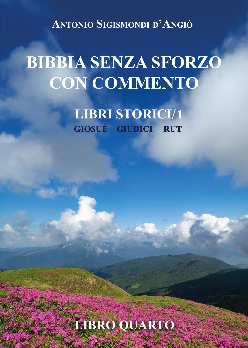 BIBBIA SENZA SFORZO CON COMMENTO - LIBRI STORICI/1