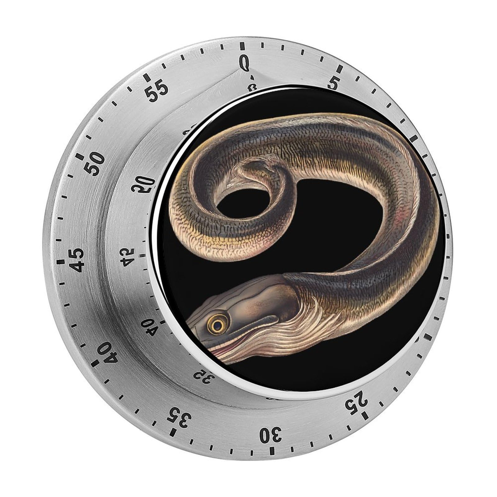 EEL Fish Magnetic Timer for Kitchen Cooking Productivity Stainless Steel Timers with Alarm