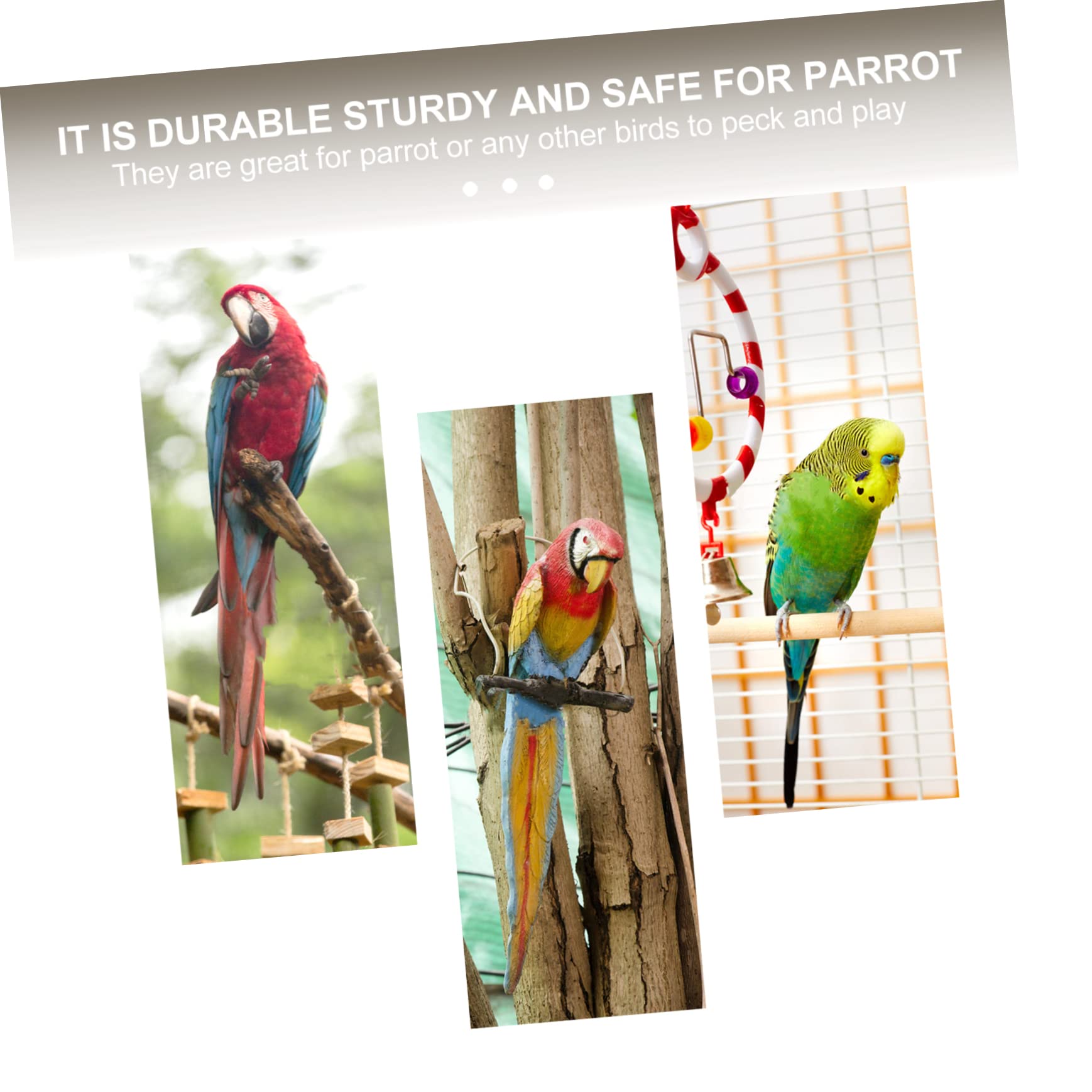 BESPORTBLE 4 Pièces Jouet à mâcher Perroquet Cute Mignonette Jouet Oiseau Domestique Alimentation à mâcher s pour Petits Oiseaux s pour Oiseaux Perroquet à mâcher os de seiche