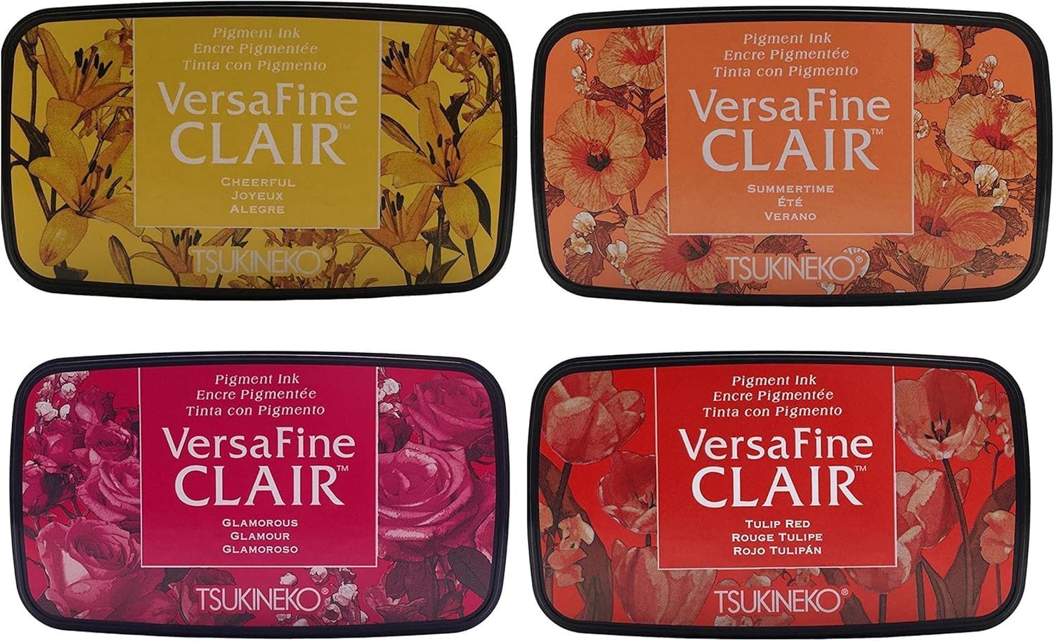 Tsukineko Versafine Clair Ink Pads, 24 Colors, 1 oz Gary Burlin Clear Embossing Powder, 3 Carnora Embossing Powder Scoops