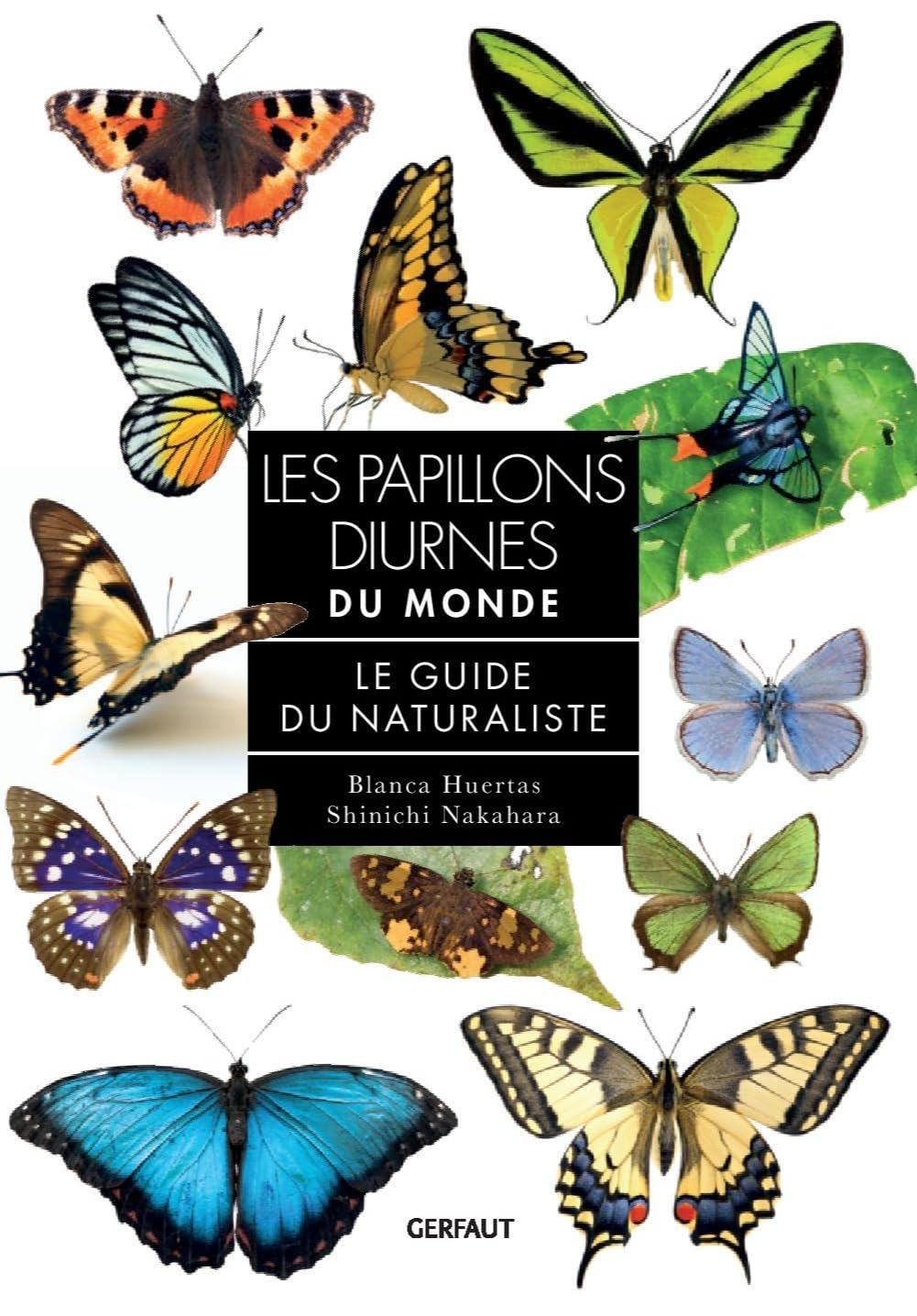 Les papillons diurnes du monde: Le guide du naturaliste