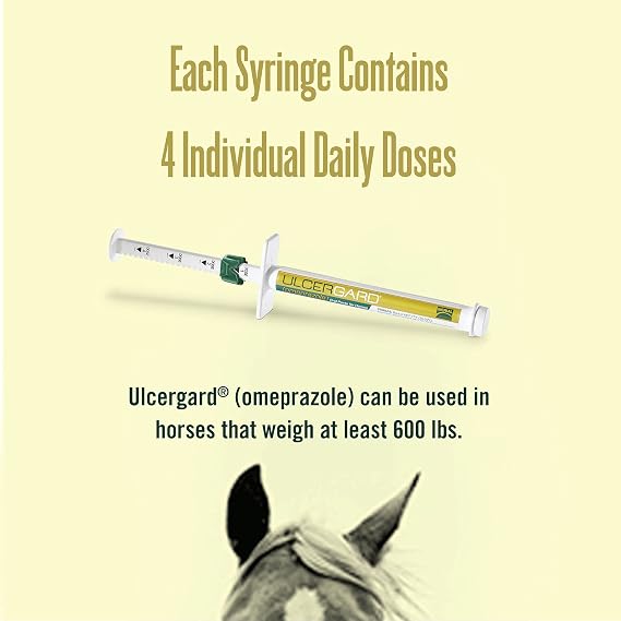 Ulcergard Oral Paste, 2.28GM, Single Count, 2.28 G