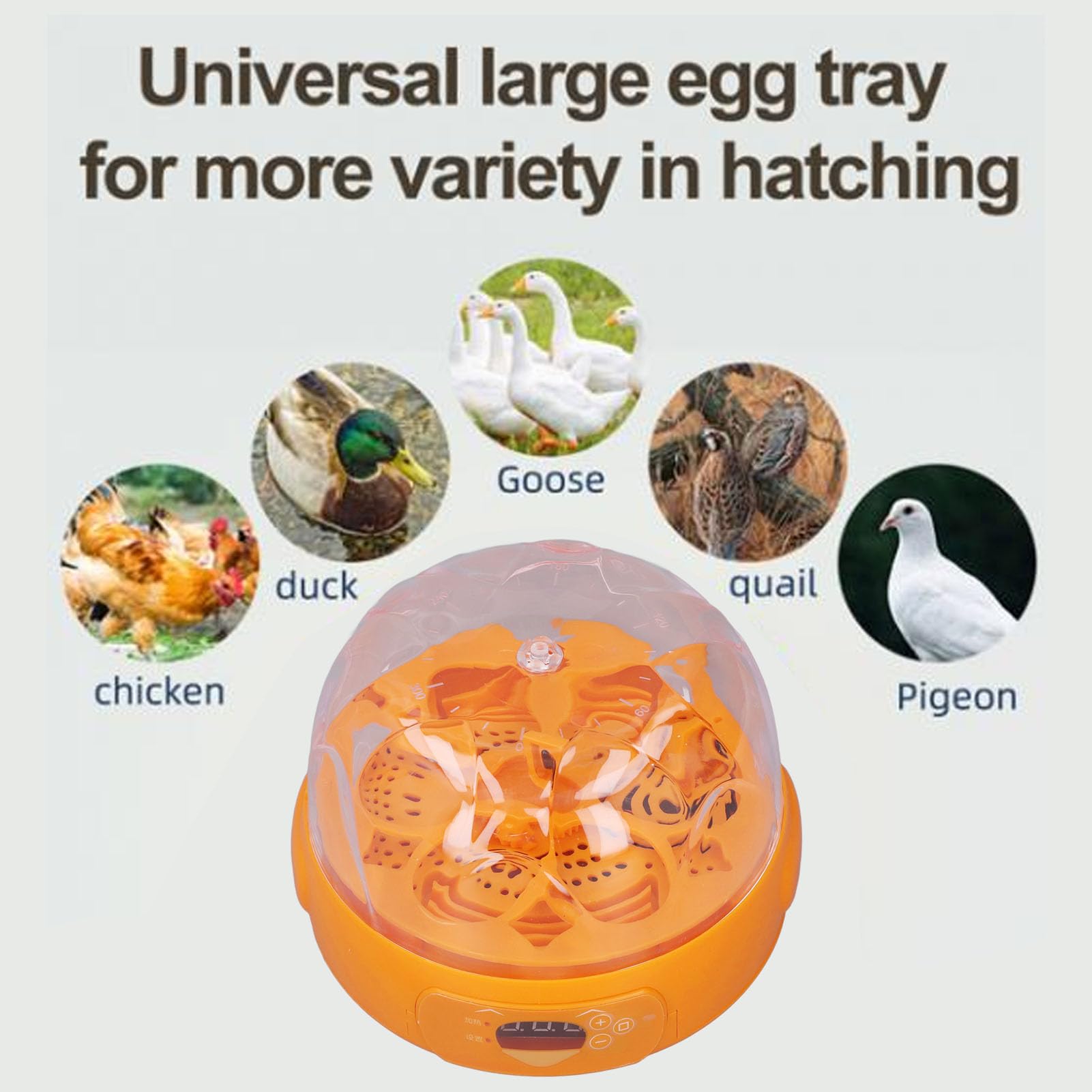 Incubadora de huevos, mini incubadora digital de huevos con giro automático de huevos, control de temperatura, pequeña incubadora de 6 huevos, máquina para incubar aves de corral para incubar huevos