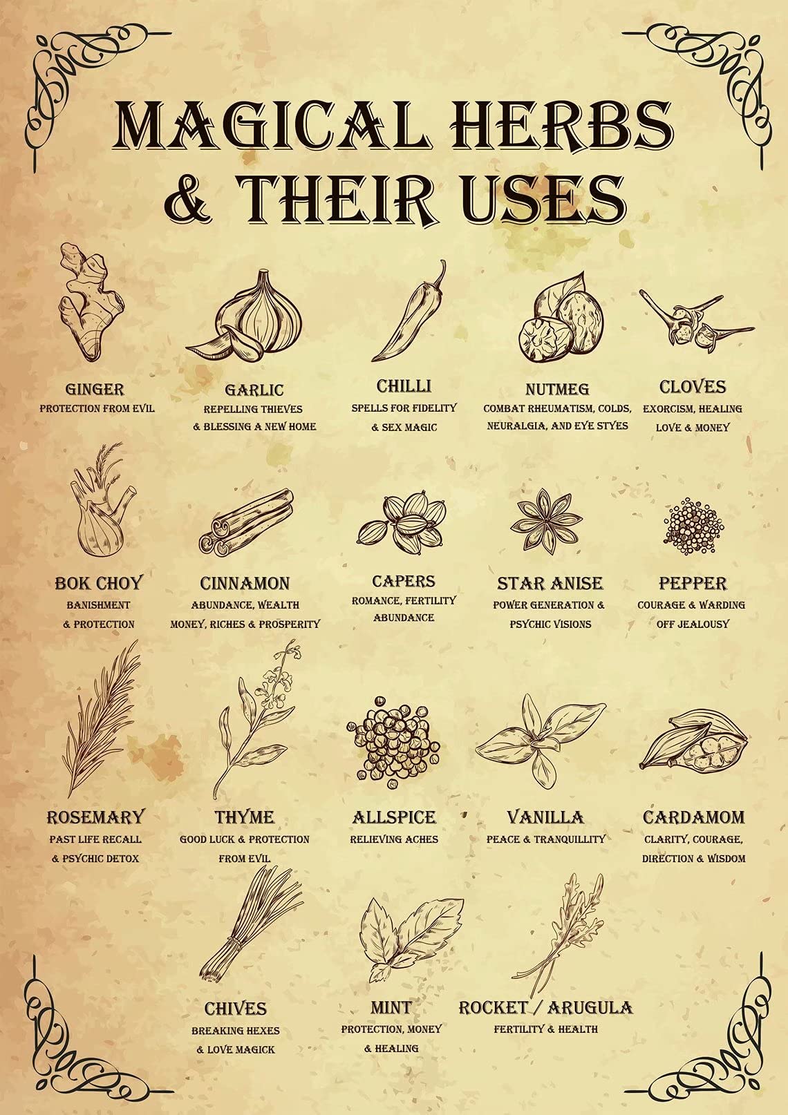 Retro Metal Aluminium Tin Signs Magical Herbs and Their Uses Witchy Poster Witchcraft Kitchen Witch Magic Magick Novelty Sign Vintage Metal Tin Signs Wall Sign Plaque Poster 8x12 Inch
