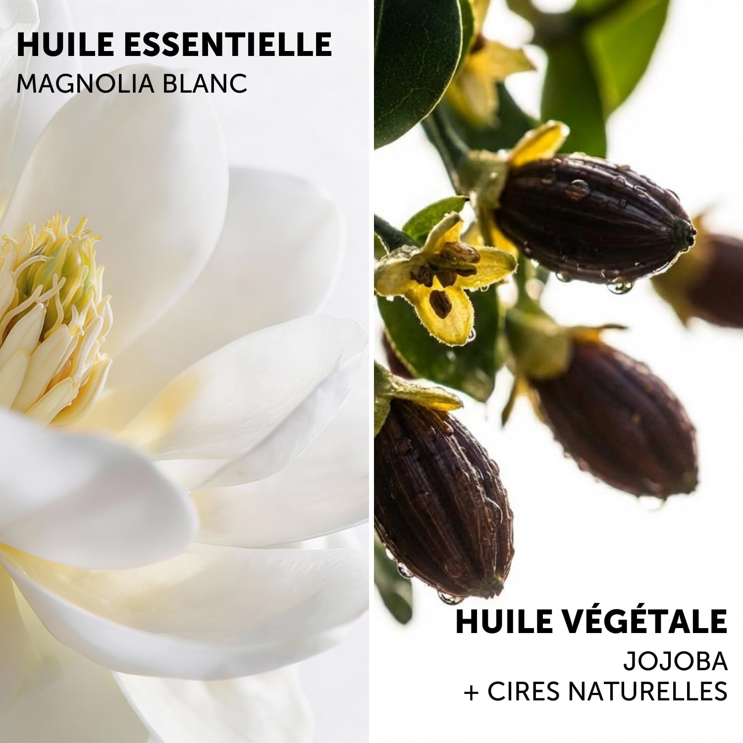 Decléor Baume de Nuit Magnolia Blanc 15ml – Baume Visage Nuit Régénérant pour Restaurer la Densité et la Fermeté, Redéfinir les Contours et Raviver l’Éclat Naturel