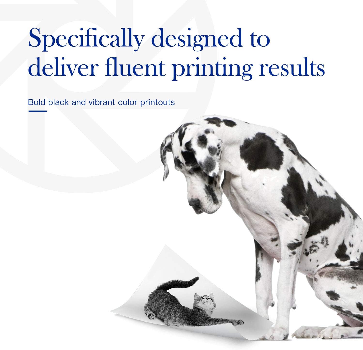 Special Valuetoner Remanufactured Ink Cartridge Replacement for HP 65 XL 65XL N9K04AN for Envy 5055 5052 5058 DeskJet 3755 2655 3720 3722 3723 3730 3732 3752 3758 2652 2624 High Yield Updated Chip (2 Black) Discount Valuetoner Remanufactured Ink Cartridge Replacement for HP 65 XL 65XL N9K04AN for Envy 5055 5052 5058 DeskJet 3755 2655 3720 3722 3723 3730 3732 3752 3758 2652 2624 High Yield Updated Chip (2 Black)