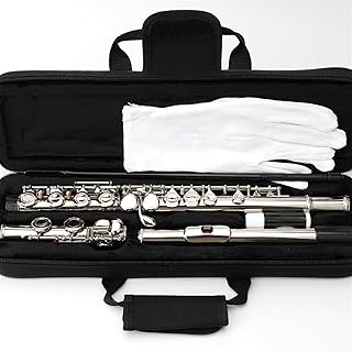 C Key Flute Instrument 16/17 Close Open Holes Cupronickel Silver Nickel Plated Concert With E flute instrument (Color : 17 Close Nickel)